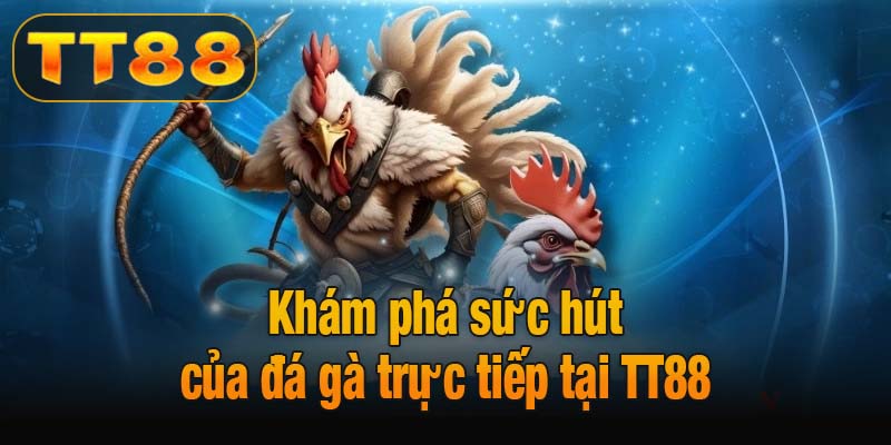 Khám phá sức hút của đá gà trực tiếp tại TT88