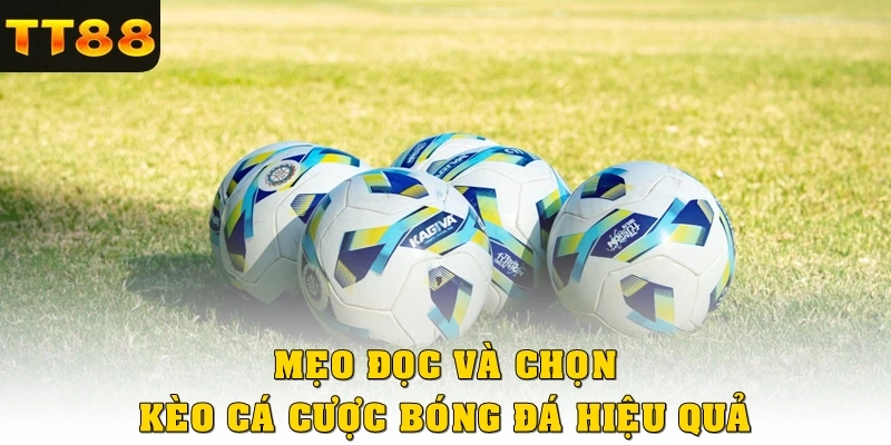 Mẹo đọc và chọn kèo cá cược bóng đá hiệu quả